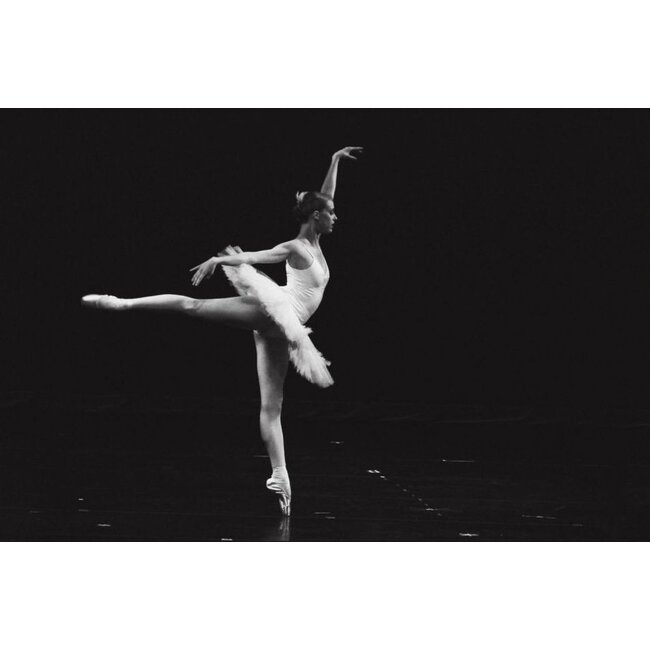 Wandkraft Moves 006 - Dibond