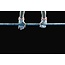 Wandkraft Moves 010 - Dibond
