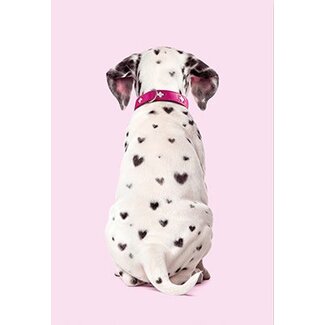 Dalmatier