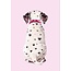 Dalmatier