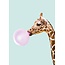 Bubblegum Giraffe