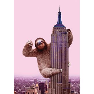 King Sloth