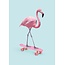 Skate Flamingo