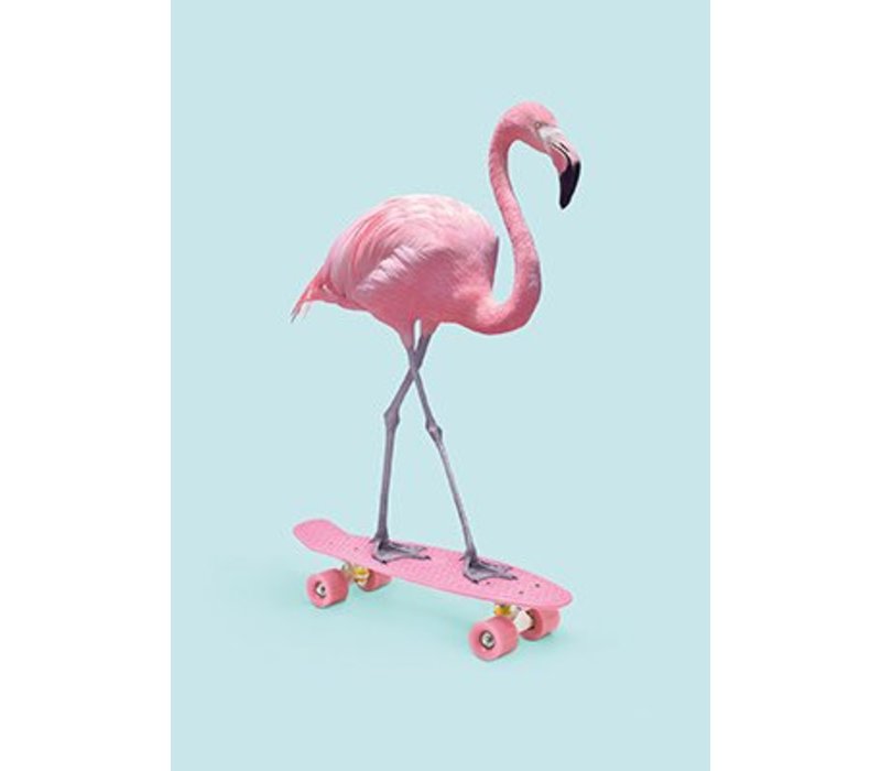 Skate Flamingo