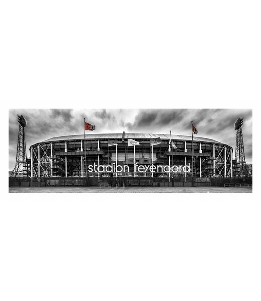 Rotterdam Stadion | Rotterdam skyline