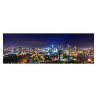 The view of Rotterdam | Rotterdam skyline