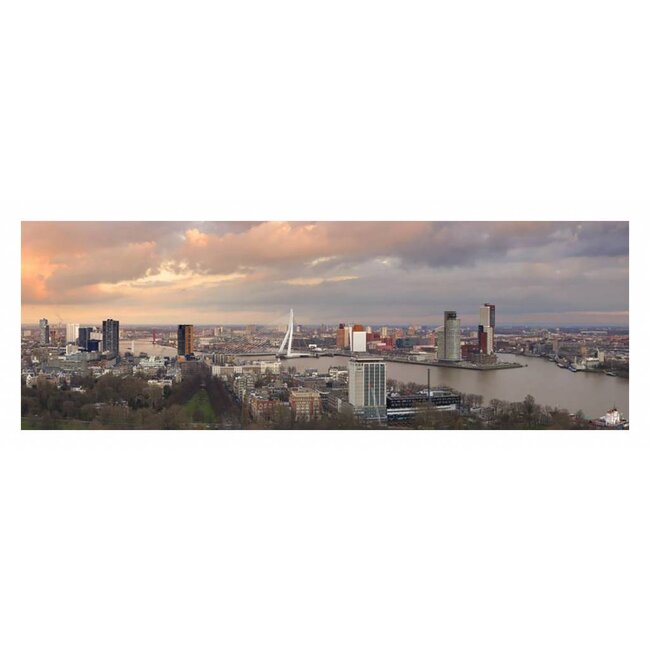 Pink sky | Rotterdam Skyline
