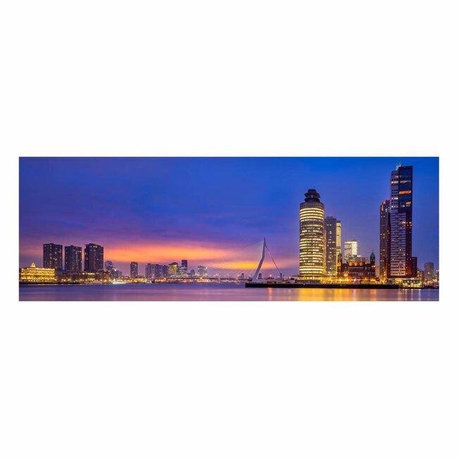 Rotterdam Connected | Rotterdam skyline