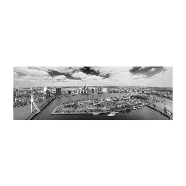 De Rotterdamse bruggen | Rotterdam skyline