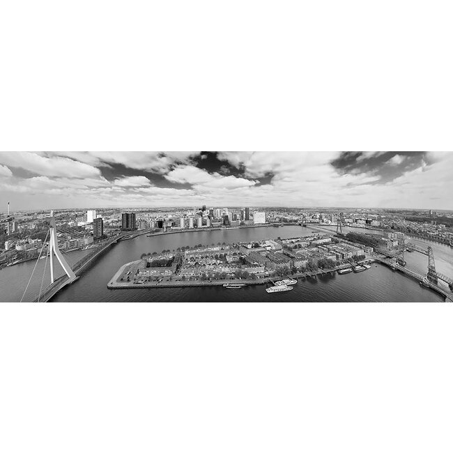 De Rotterdamse bruggen | Rotterdam skyline