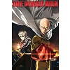 One Punch Man - Destruction