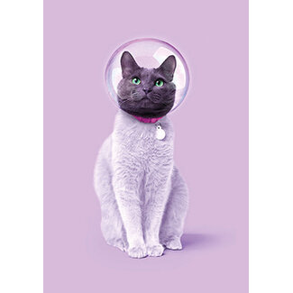 Space cat