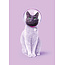 Space cat