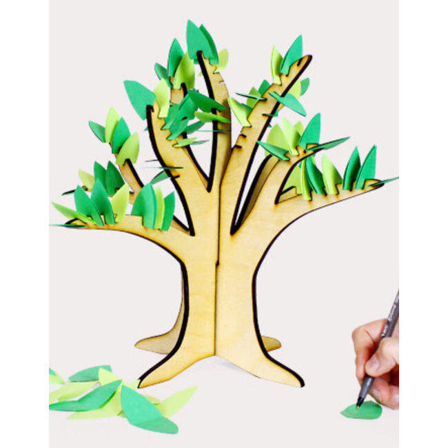 Kikkerland Boom vol dankbaarheid