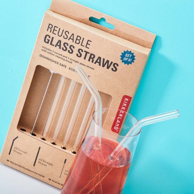 Kikkerland Glazen rietjes met borsteltje