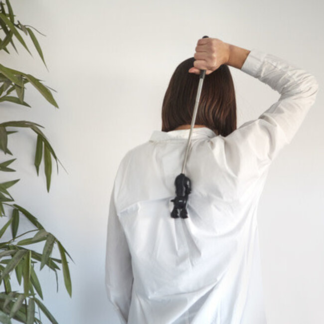 Balvi Ruggenkrabber - kat