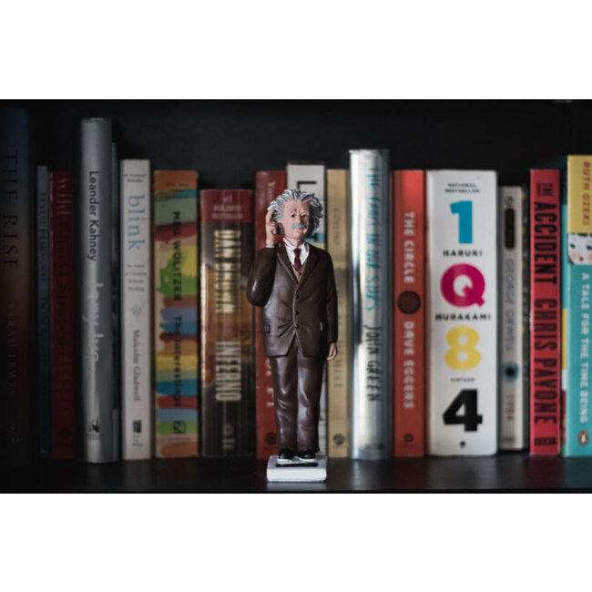 Kikkerland Solar Einstein