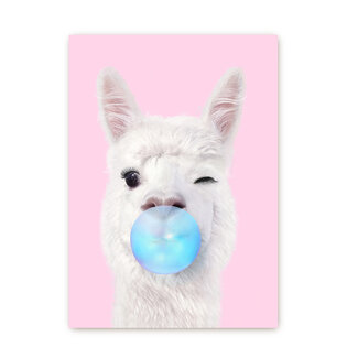 Alpaca