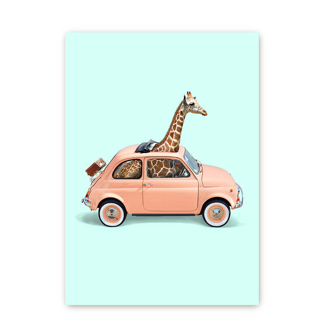 Giraf in Fiat 500