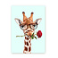 Giraf met roos