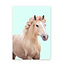 Paard