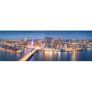 Vivid Rotterdam