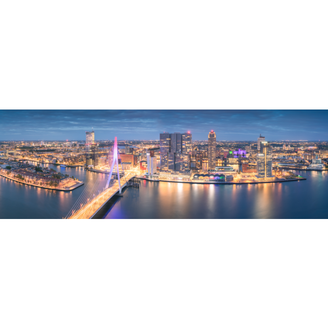 Vivid Rotterdam