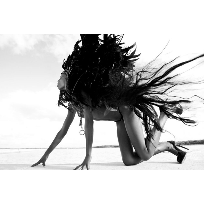 Wandkraft Black Swan - Metropolitan collectie