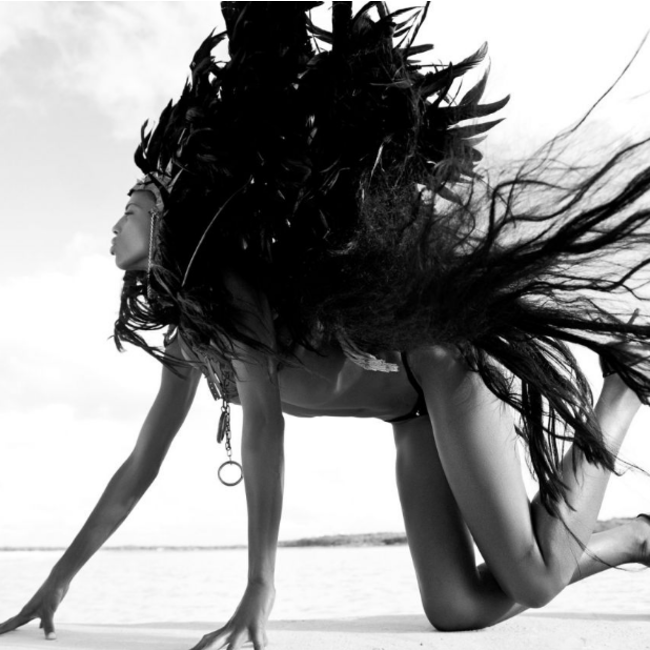 Wandkraft Black Swan - Metropolitan collectie