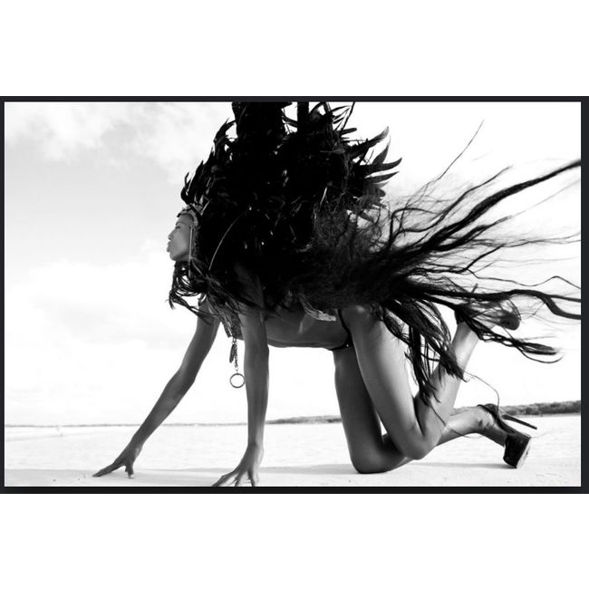 Wandkraft Black Swan - Metropolitan collectie