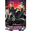 Poster Bleach Chained