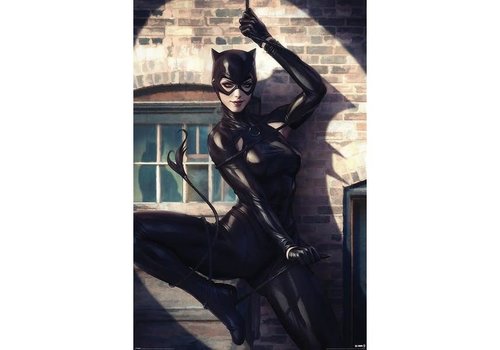 Batman - Catwoman Spotlight