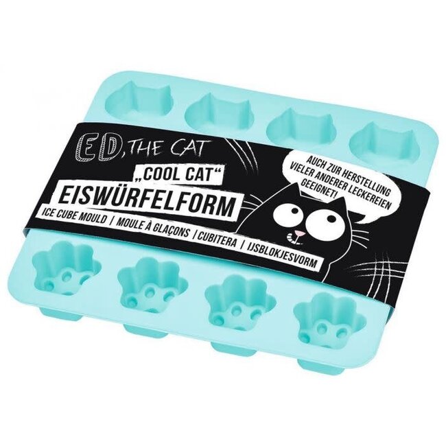 IJsblokjesvorm Ed the cat