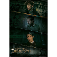 Fantastic Beasts - The Secrets of Dumbledore