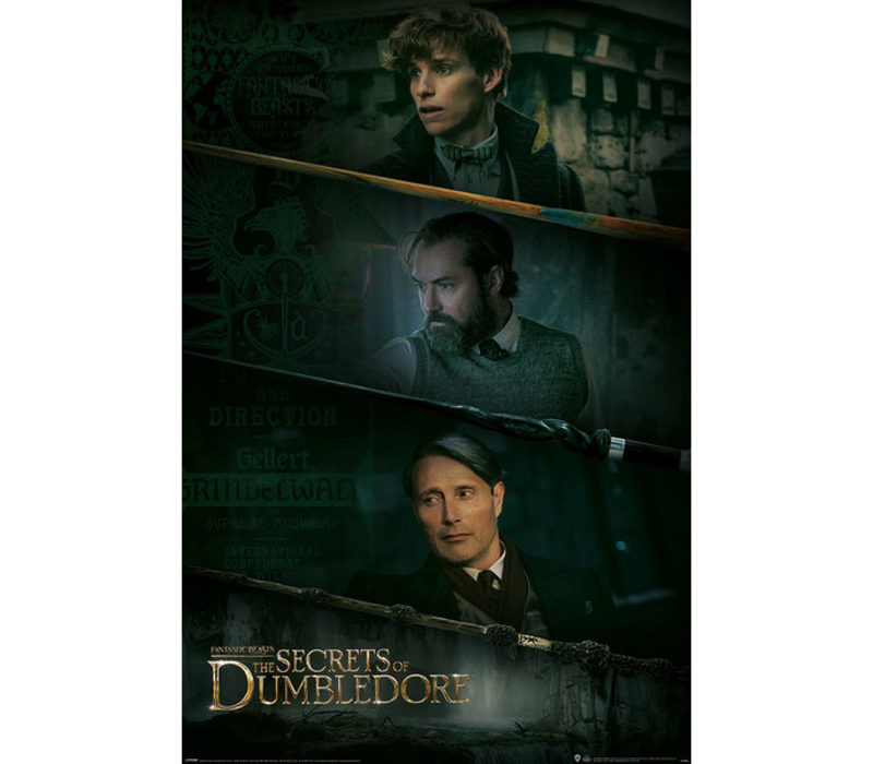 Fantastic Beasts - The Secrets of Dumbledore