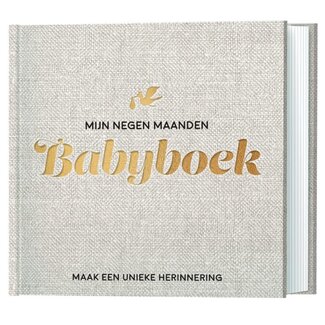 De Lantaarn Babyboek mijn negen maanden