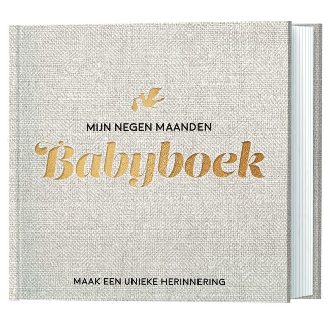 De Lantaarn Babyboek mijn negen maanden