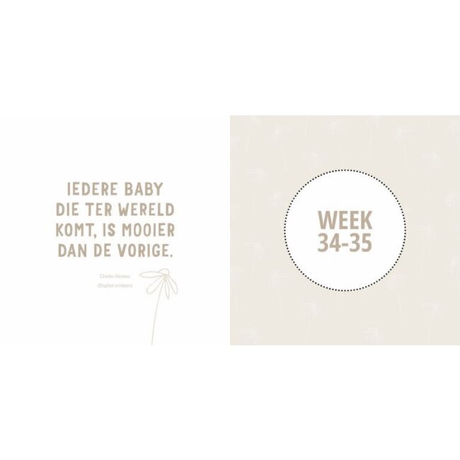 De Lantaarn Babyboek mijn negen maanden