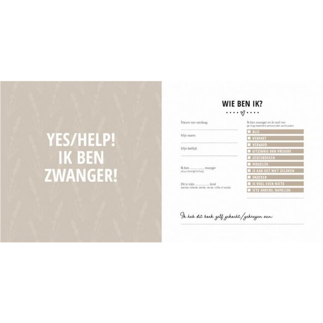 De Lantaarn Babyboek mijn negen maanden