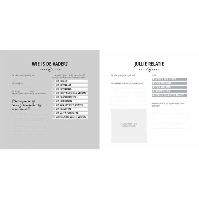 De Lantaarn Babyboek mijn negen maanden