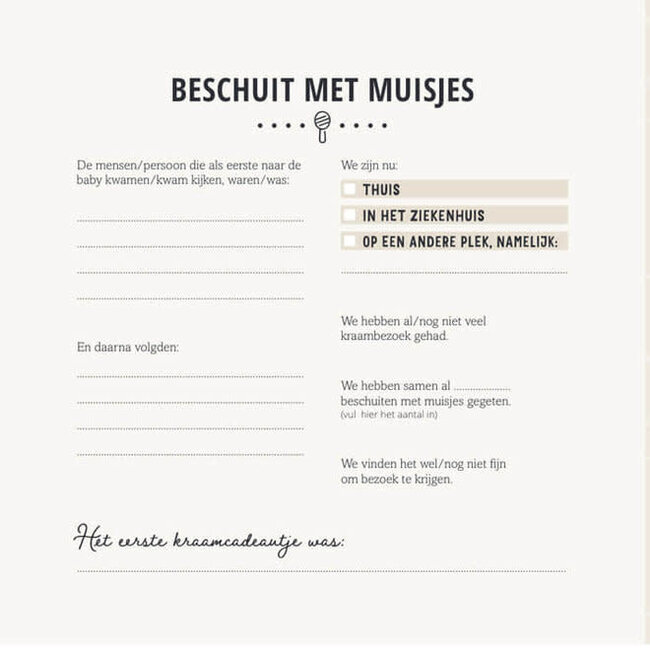 De Lantaarn Babyboek mijn eerste jaar