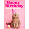 Happy Birthday from the Cat