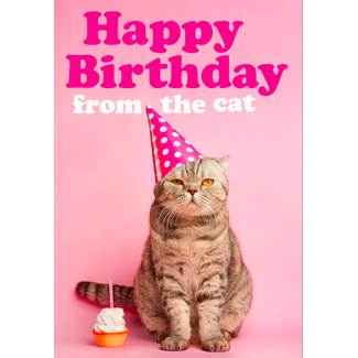 Happy Birthday from the Cat