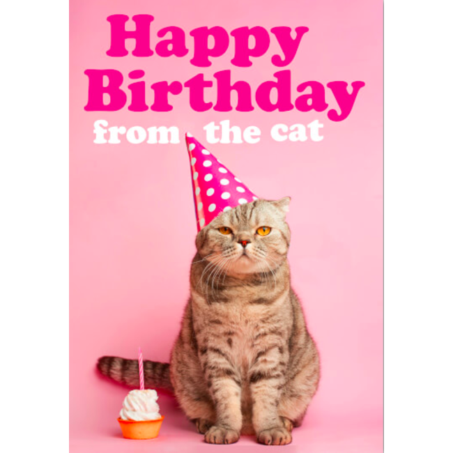 Happy Birthday from the Cat