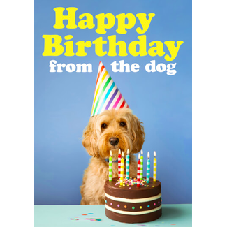 Wenskaart Happy Birthday from the Dog