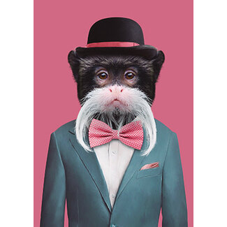 Emperor Tamarin 2