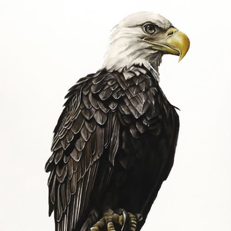 Natuur posters voor aan de muur