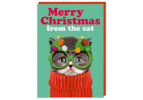 Merry Christmas from the cat