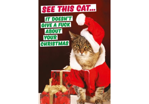 See this cat.. it doesn't give a f*ck about your Christmas