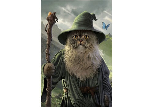 Catdalf | Lord of the Rings